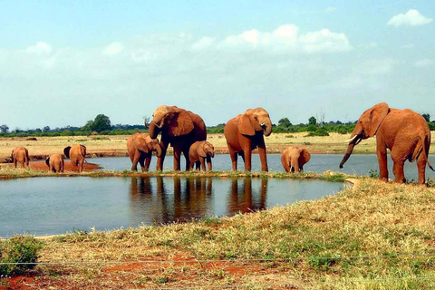 5 daagse avontuurlijke safari in Kenia