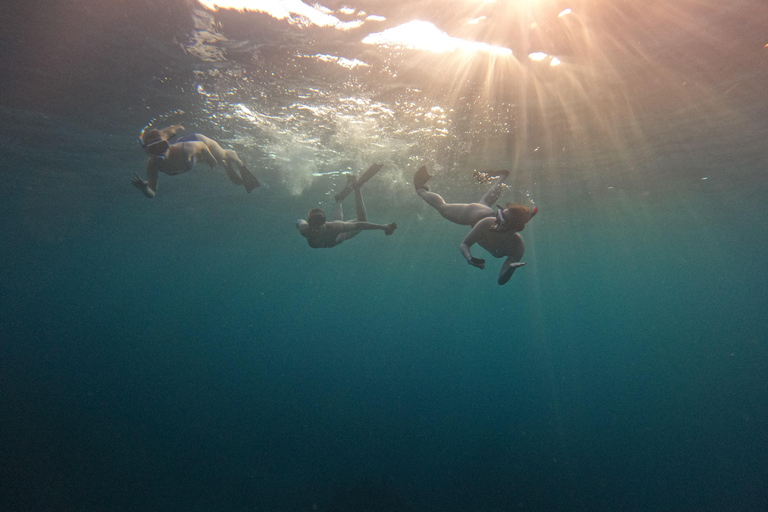 Bali: Private Snorkeling at Manta Point Nusa Penida Round Transfer Bali Island