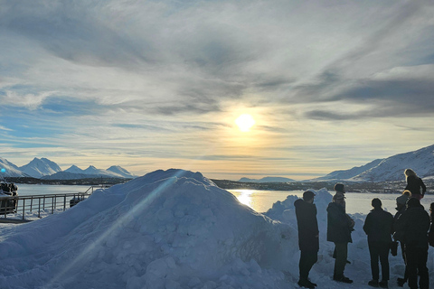 Tromsø: 7 horas de Aurora Boreal