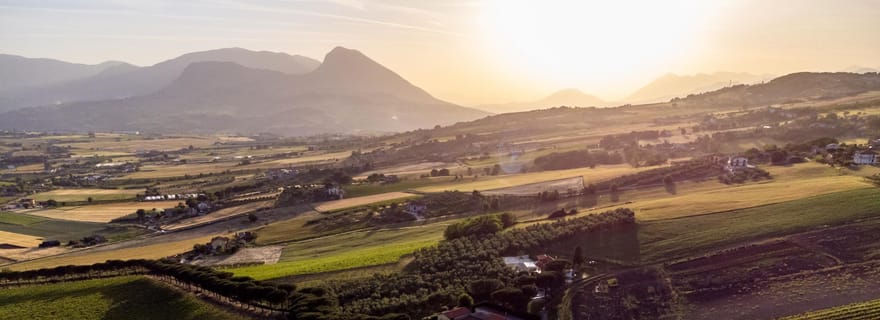 Bénévent : pique-nique dans les oliveraies de Sannio et visite du domaine