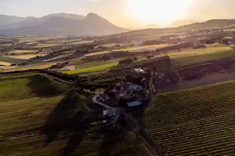 Benevento: picnic among Sannio olive groves and estate tour
