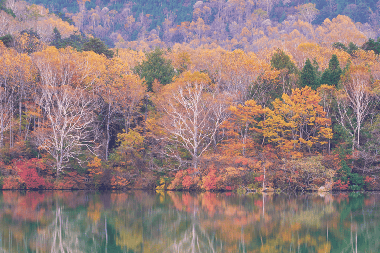 Tokyo: Nikko National Park Private Tour Hotel Pickup & Drop