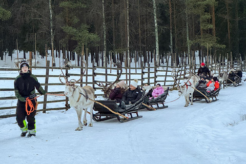 Rovaniemi: Insider Reindeer Farm Visit and long Sleigh Ride