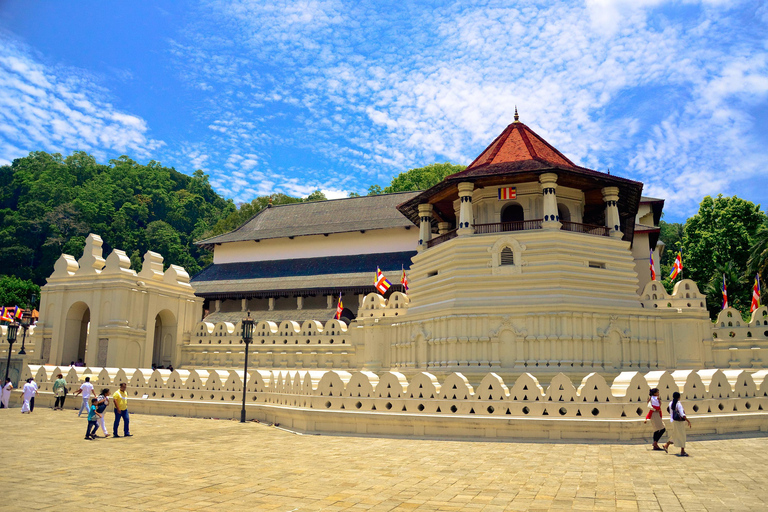 Kandy: Cultural Tour, Temple of Tooth Relic,Ultimate Temples
