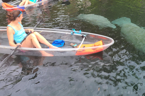 Silver Springs: Manatees and Monkeys Clear Kayak Guided Tour