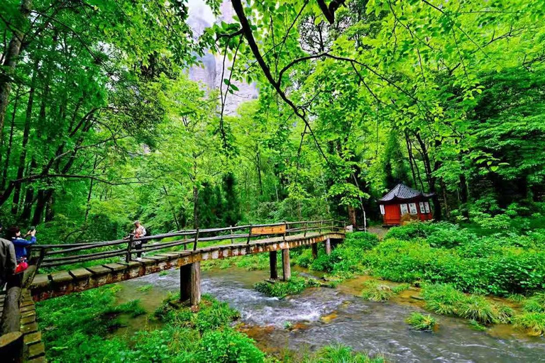 Zhangjiajie: Avatar Mountains, Tianzi, 72 Tower private tour