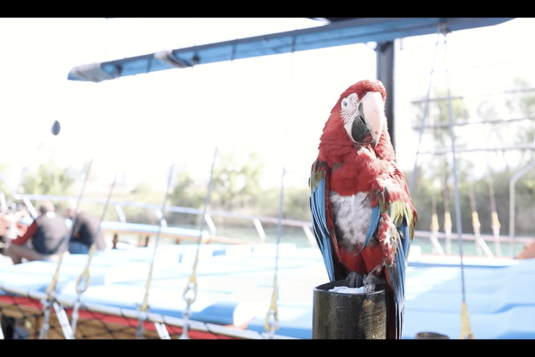 Side: Pirate Ship Cruise with Pirate Certificate
