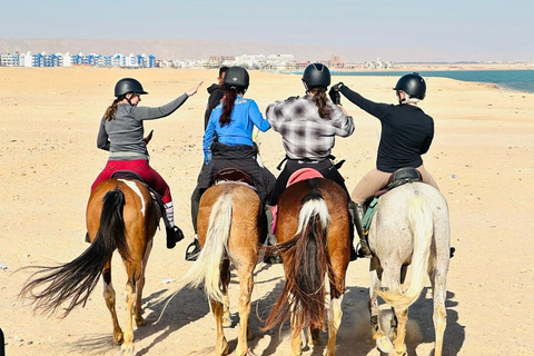 الغردقة: جولة ركوب الخيل في الصحراء والبحر مع خيار السباحةجولة لمدة ساعتين لركوب الخيل بدون السباح