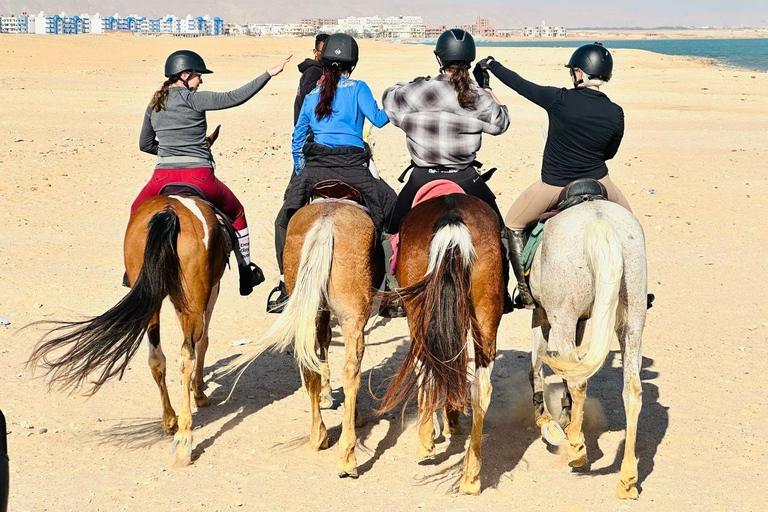 الغردقة: جولة ركوب الخيل في الصحراء والبحر مع خيار السباحةجولة لمدة ساعتين لركوب الخيل بدون السباح