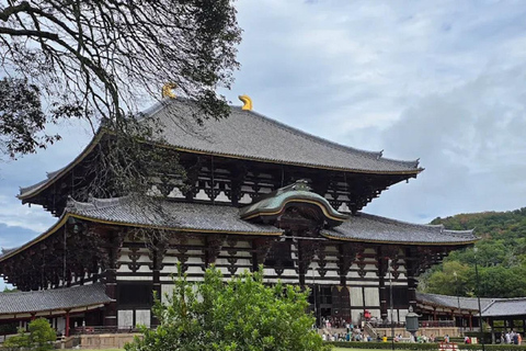 Osaka: Discovering Nara Timeless Grace Guided Tour