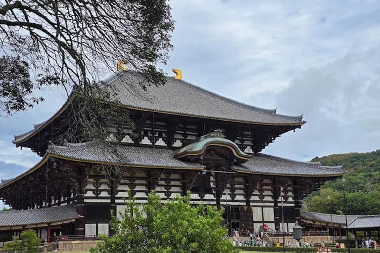 Osaka: Discovering Nara Timeless Grace Guided Tour