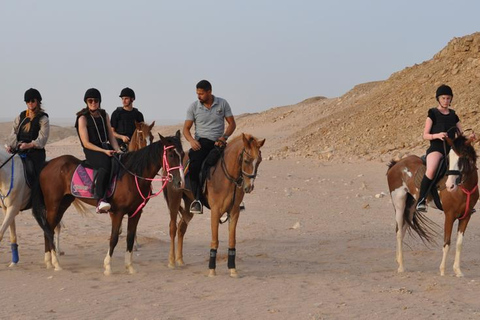 Hurghada: Camel Ride & horse ride and Off-Road Jeep Tour pickup from hotels inside hurghada