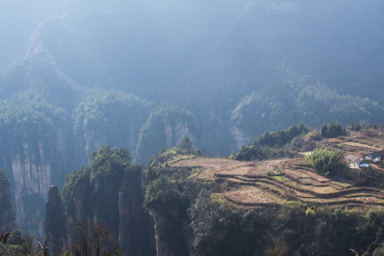 Parque Florestal Nacional da Montanha TianmenParque florestal nacional da montanha Tianmen