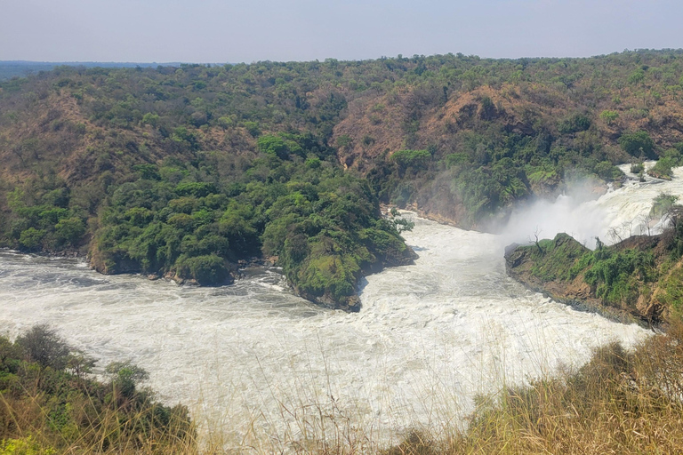From Kampala: 2-Day Murchison Falls National Park Vacation