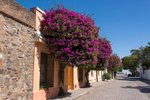 From Buenos Aires: Day Trip to Colonia del SacramentoTransportation, Tour, Hop On - Hop Off &amp; Hotel 1 night