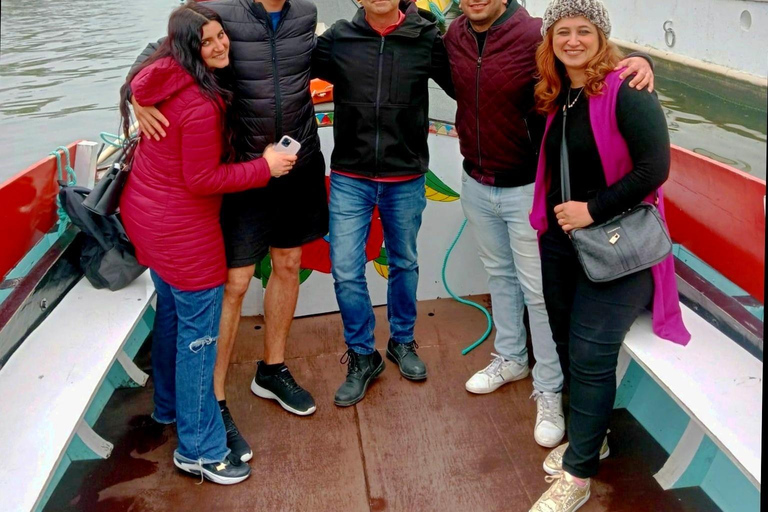 From Porto: Aveiro and Costa Nova Half-Day Tour with Cruise