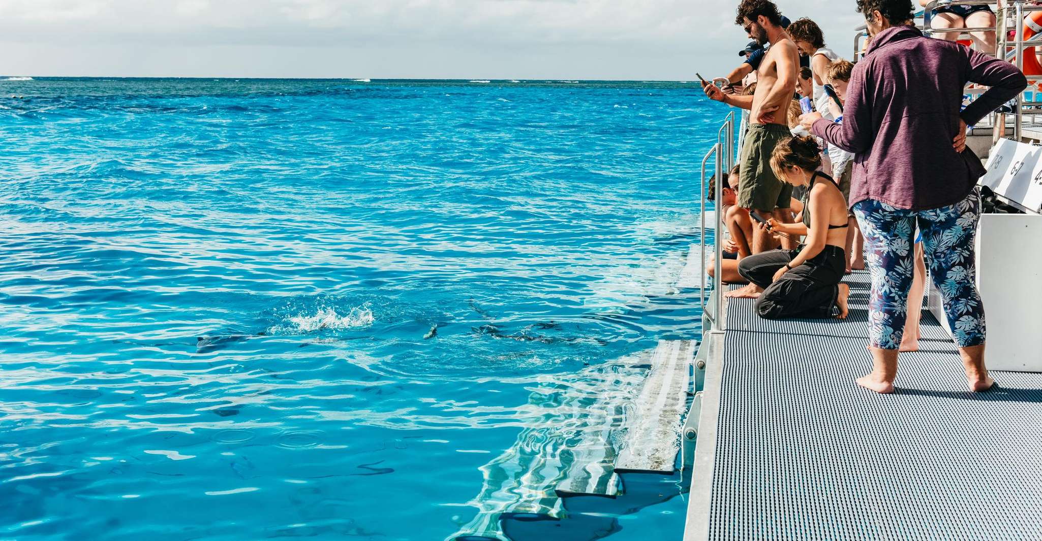 Bundaberg: Lady Musgrave Island and Great Barrier Reef Tour photo 9