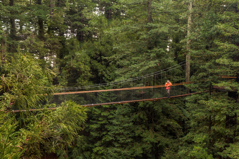 Vanuit Auckland: Rotorua hoogtepunten groepstour