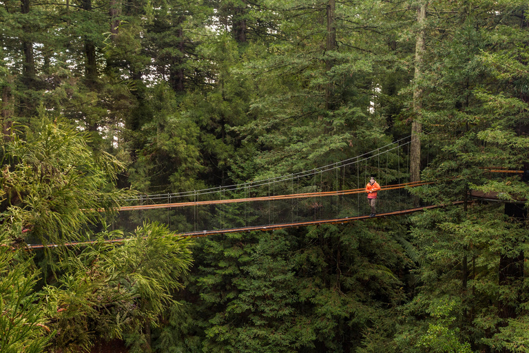 From Auckland: Rotorua Highlights Group TourRotorua Tour with Te Puia and Polynesian Spa Entry