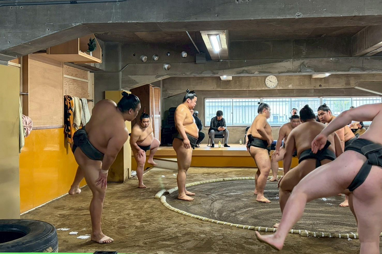 Nagoya: Authentic Sumo Morning Practice (July Match)