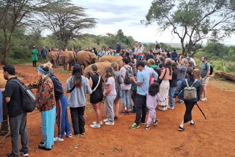 Excursion d'une journée à l'orphelinat des girafes et des éléphants et aux Bomas du Kenya.