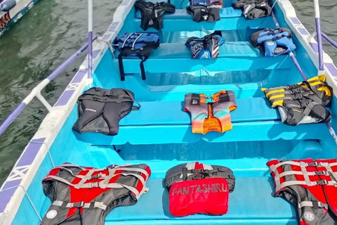 Diani Beach: Wasini Island Dolphin Safari & Snorkeling