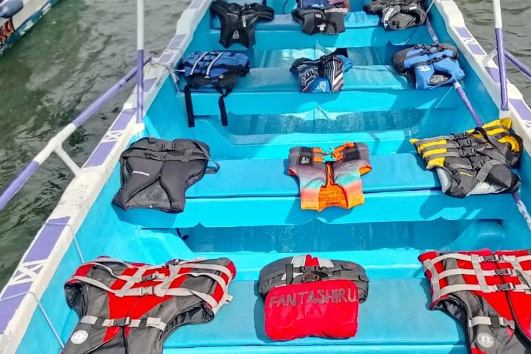 Diani Beach: Wasini Island Dolphin Safari & Snorkeling