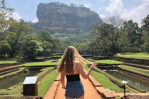 From Colombo: Dambulla, Sigiriya, and Jeep Safari Day Trip