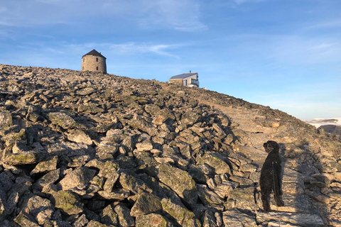 Stryn: Guided Hike to Skåla (1848 m) with Lunch