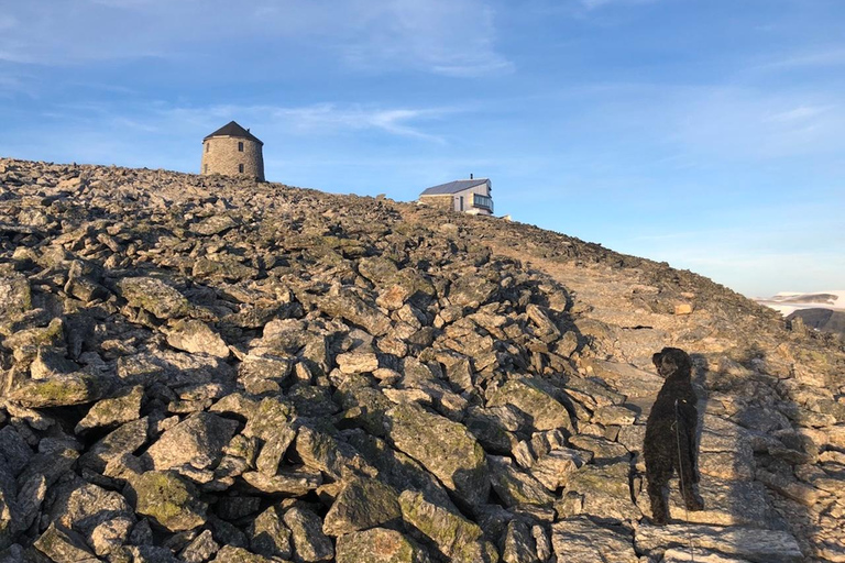 Stryn: Guided Hike to Skåla (1848 m) with Lunch