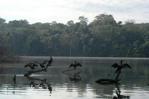 Puerto Maldonado: Sandoval Lake and Tambopata Reserve Tour