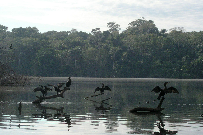 Puerto Maldonado: Sandoval Lake and Tambopata Reserve Tour