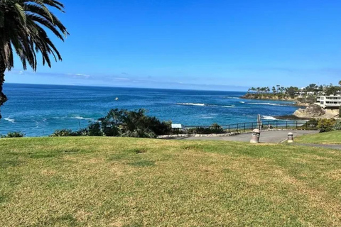 Los Angeles: Tour delle migliori spiagge da Anaheim