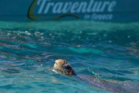 Agios Sostis harbour: Rent your own boat! Agios Sostis Harbour! Rent a boat and spot the turtle