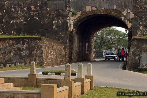 Sri Lanka : Galle, Madu River, and Turtle Hatchery Day