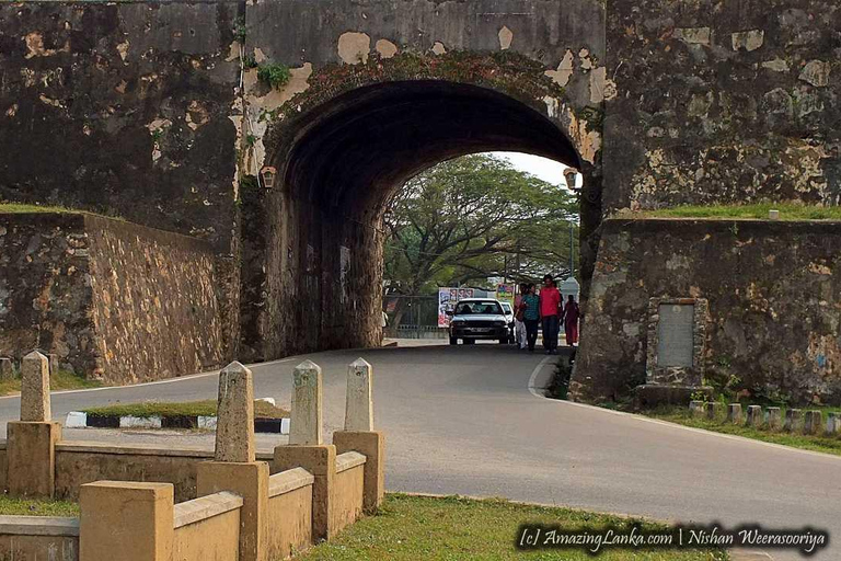 Sri Lanka : Galle, Madu River, and Turtle Hatchery Day