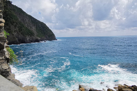 Desde Florencia: Tour en grupo reducido de un día a Cinque Terre y Pisa