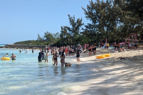 Plongée avec masque et tuba pour les tortues de Pig Beach, Nassau, Bahamas