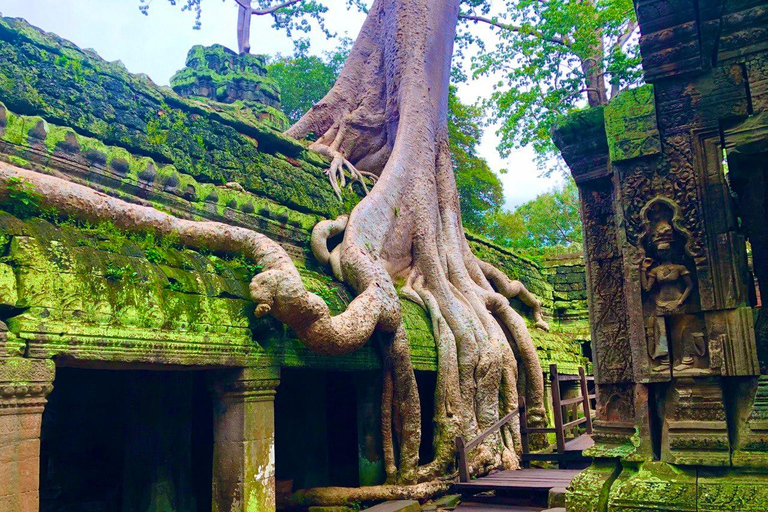 Angkor Wat Highlights Tour &amp; Sunset View