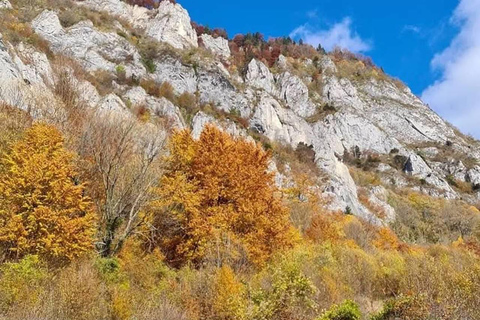 Brașov: Guided Hike with Snacks and Transfers