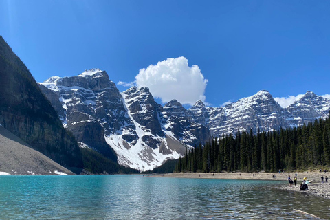 Moraine Lake&Lake Louise Half-Day Shuttle from Canmore/Banff