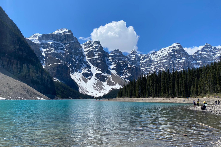 Moraine Lake&Lake Louise Half-Day Shuttle from Canmore/Banff