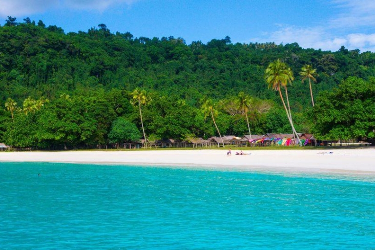 Vanuatu: Port Vila Guided Tour with Transfers
