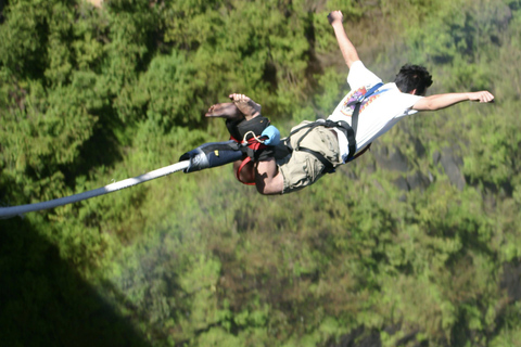 Depuis Le Cap/Stellenbosch : Garden Route et safari, 3 joursForfait chambre dortoir en auberge