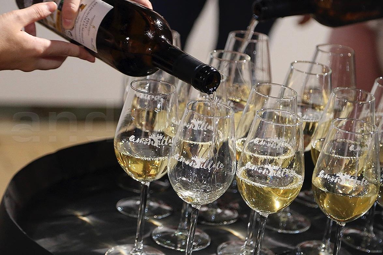 Degustação de vinhos de Montilla-MorilesDegustação privada de vinhos de Montilla-Moriles