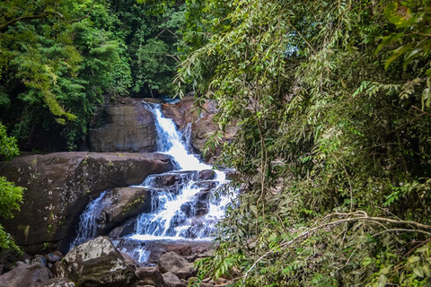 Kanneliya the Biodiversity Hot Spot Trekking from Galle