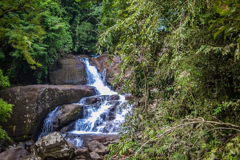 Kanneliya the Biodiversity Hot Spot Trekking from Galle