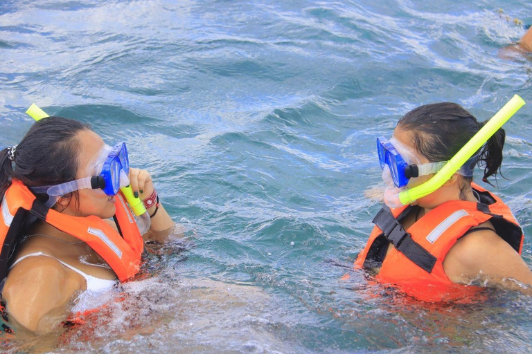 Puerto Morelos: Snorkel in Coral Reef with transportation Tour from Tulum