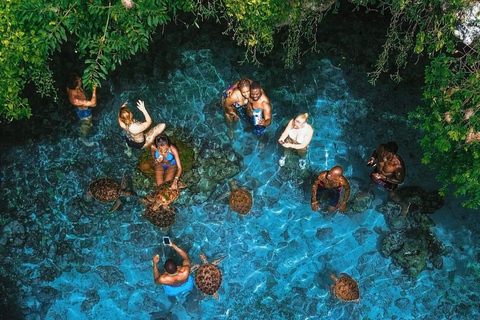 Zanzibar: las Jozani i jaskinia Salaam z odbiorem z hoteluWYCIECZKA PRYWATNA: z odbiorem z hotelu ze WSZYSTKICH HOTELI na Zanzibarze