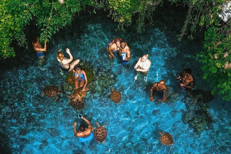 Zanzibar: las Jozani i jaskinia Salaam z odbiorem z hoteluWYCIECZKA PRYWATNA: z odbiorem z hotelu ze WSZYSTKICH HOTELI na Zanzibarze